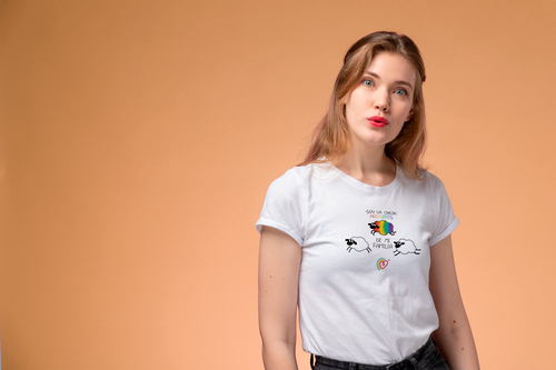 CAMISETA OVEJA ARCOIRIS ORGULLO '25🌈